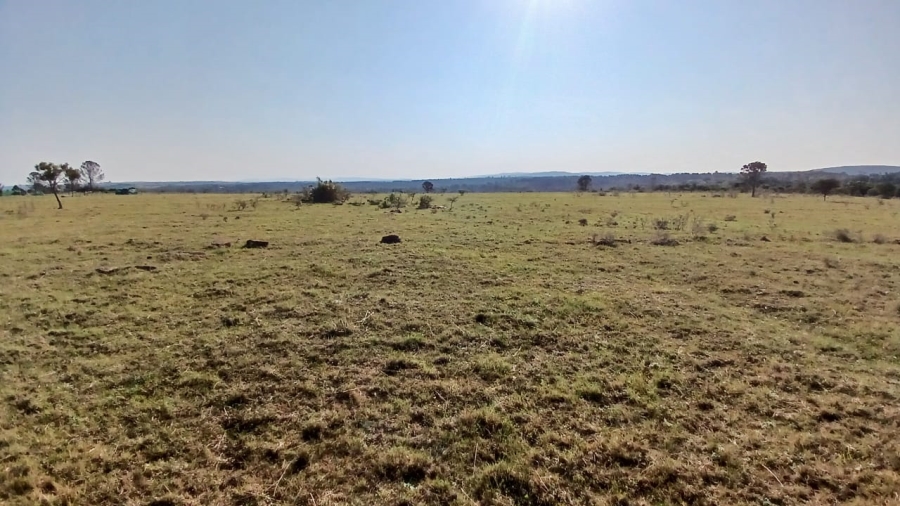 Commercial Property for Sale in Bathurst Eastern Cape